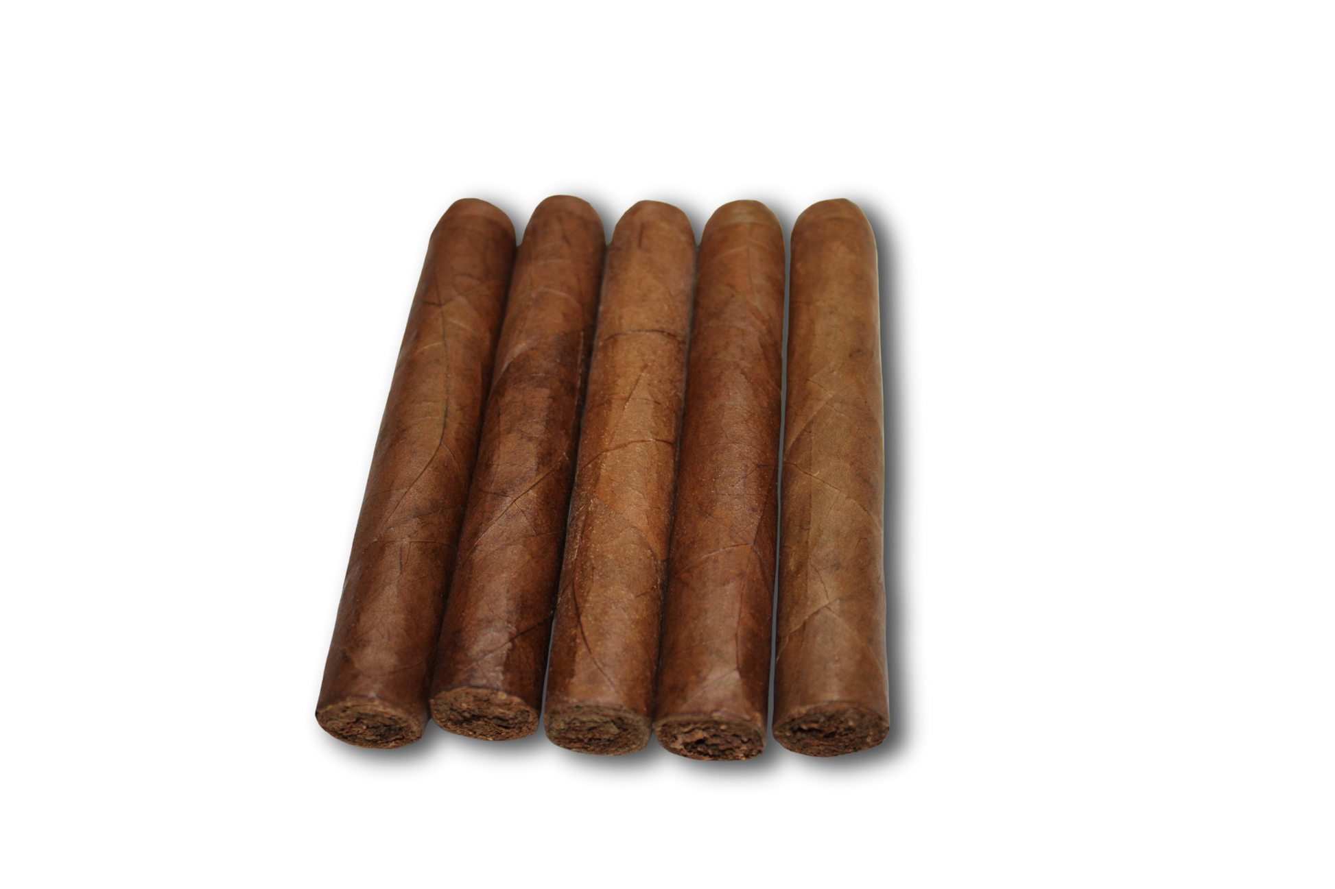 Robusto Habano 5-Pack – 5x50