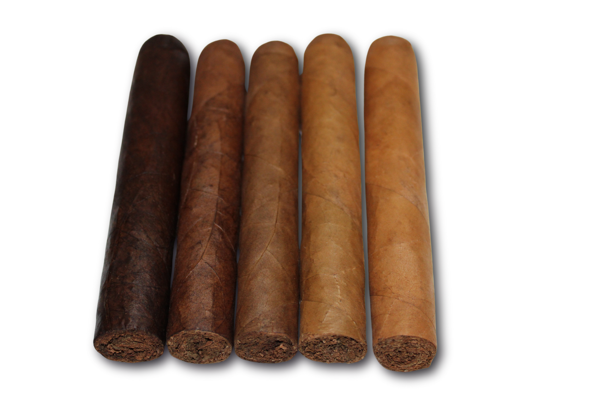 Robusto Variety 5-Pack – 5x50