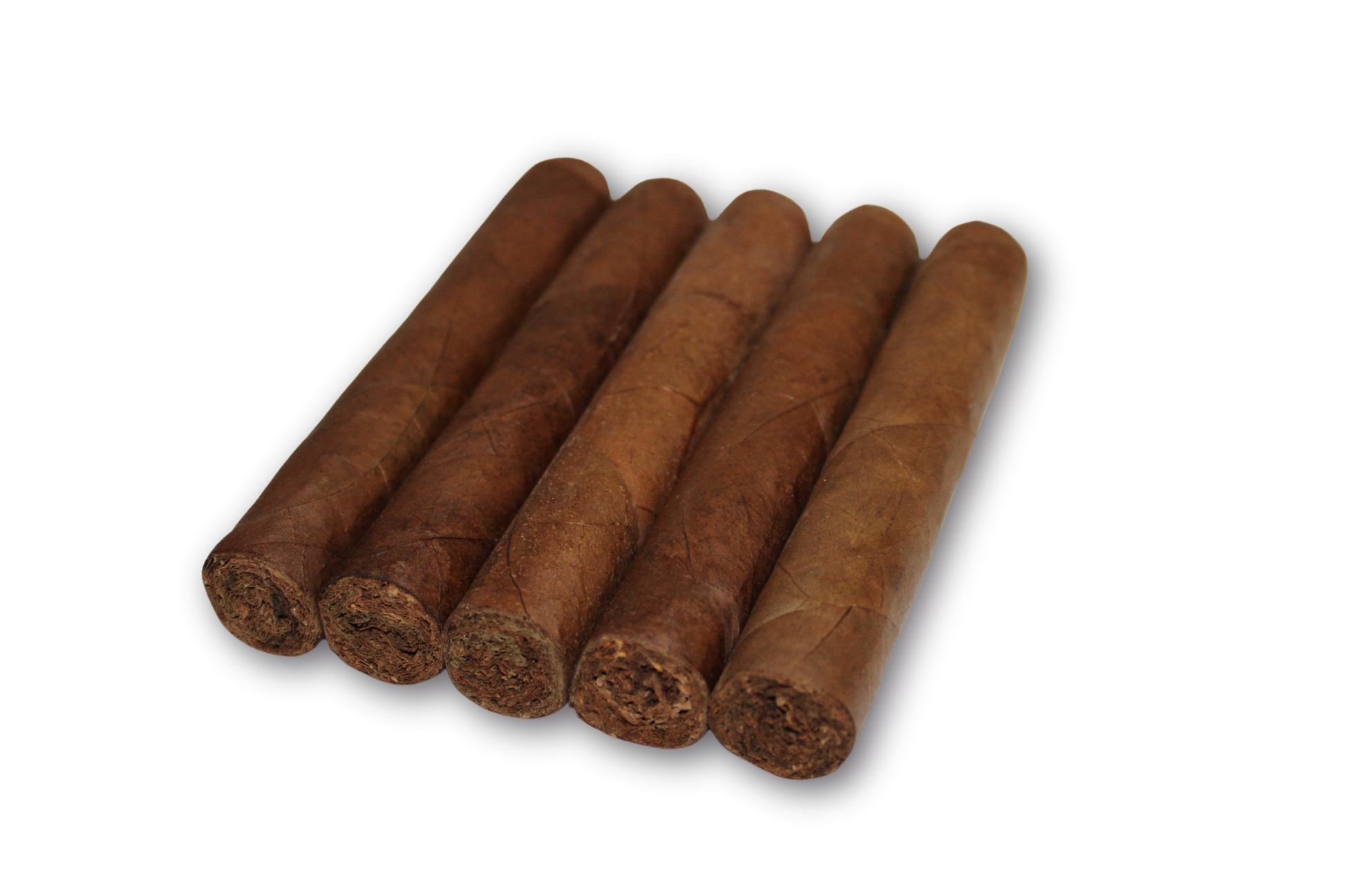 Robusto Habano 5-Pack – 5x50