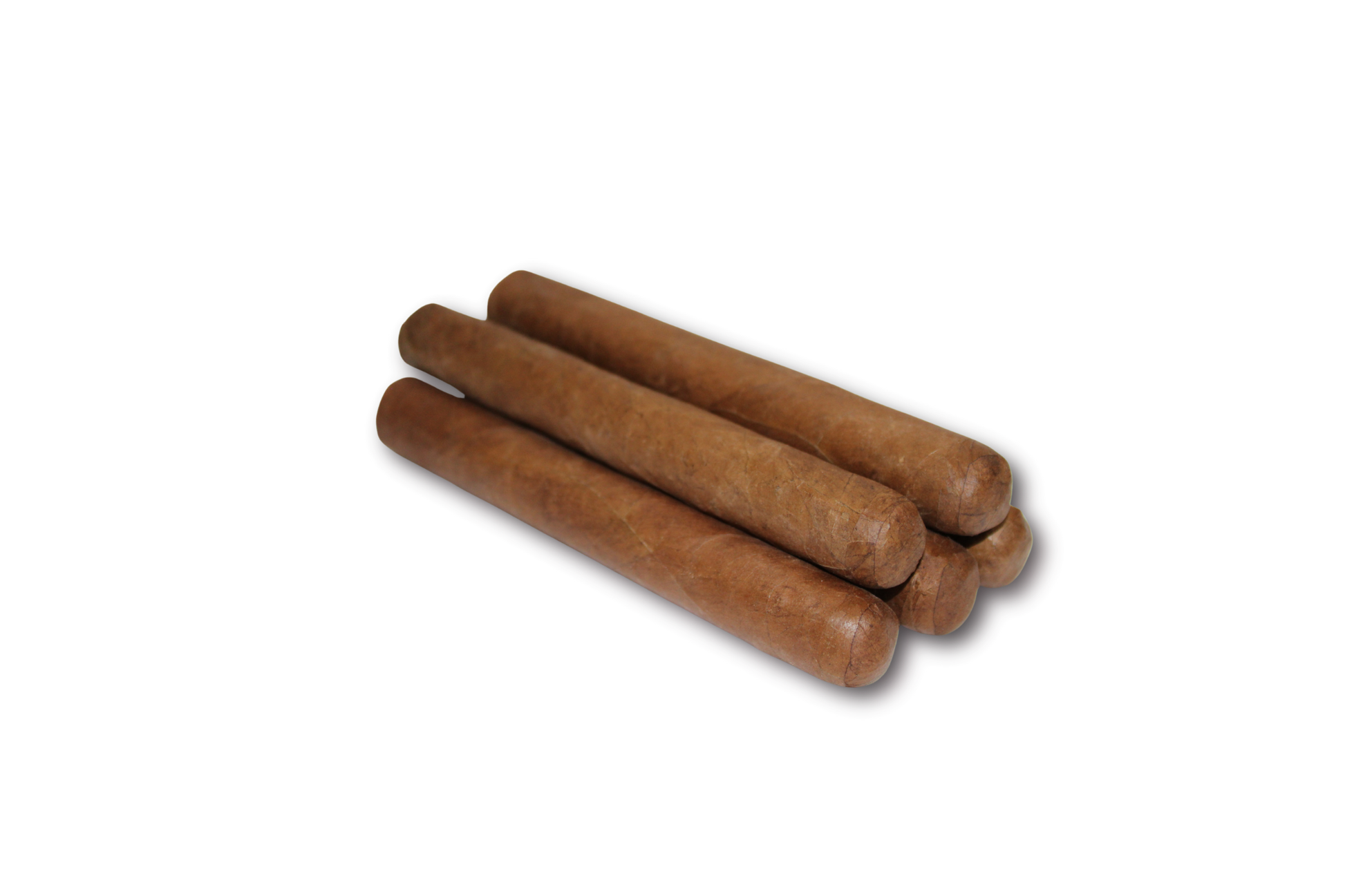 Robusto Habano 5-Pack – 5x50