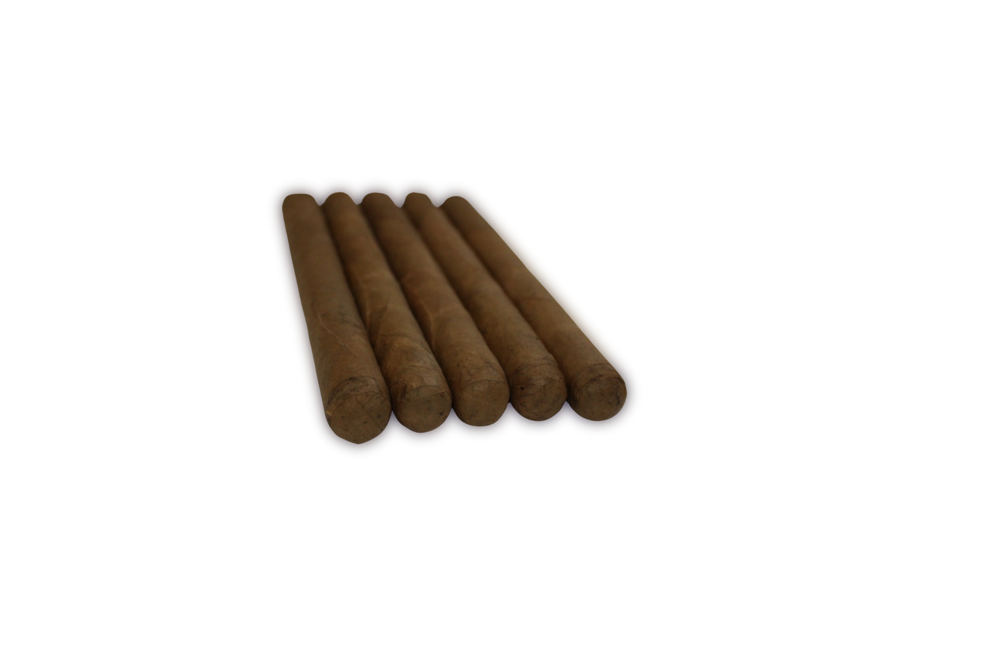 Robusto Habano 5-Pack – 5x50