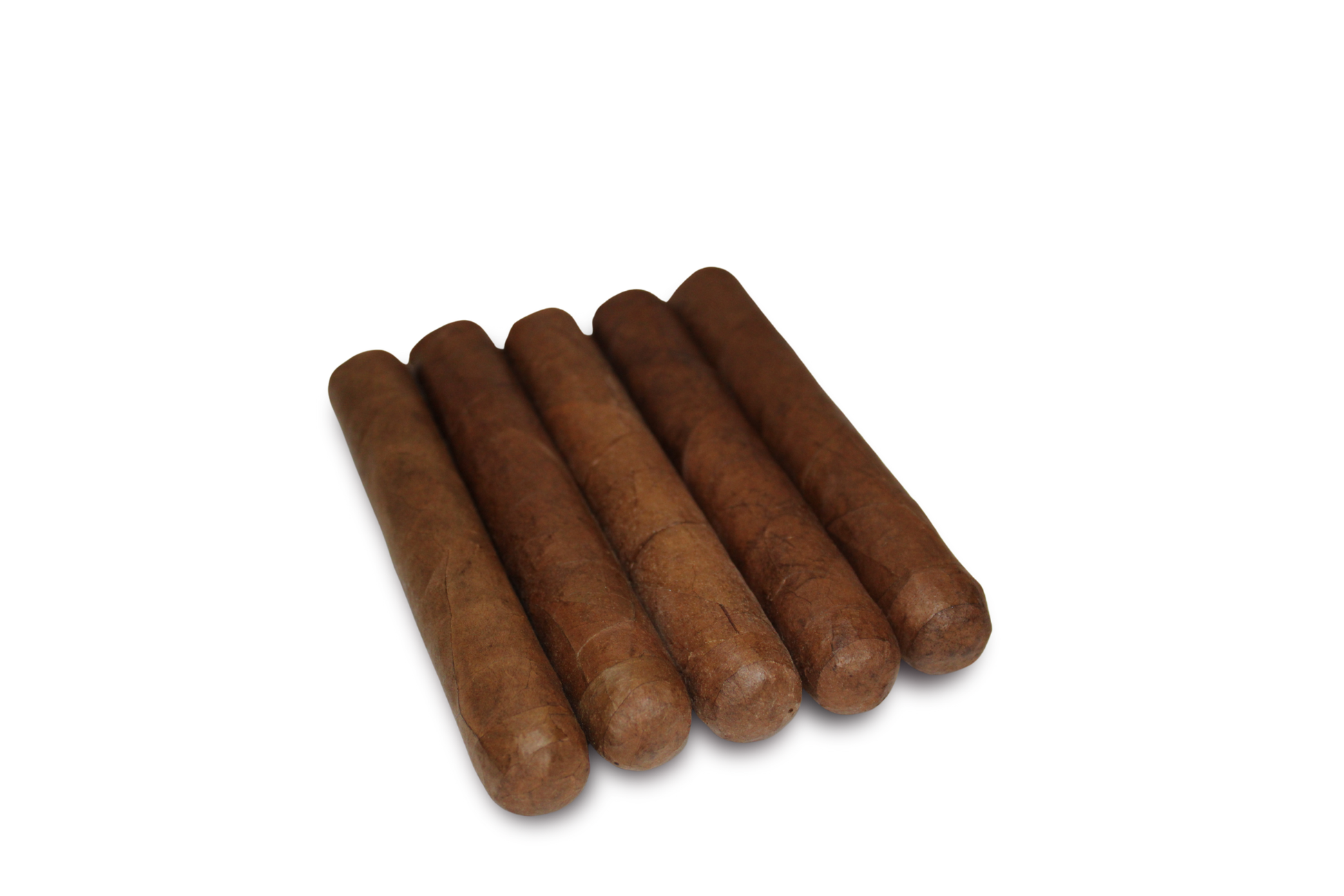 Robusto Habano 5-Pack – 5x50