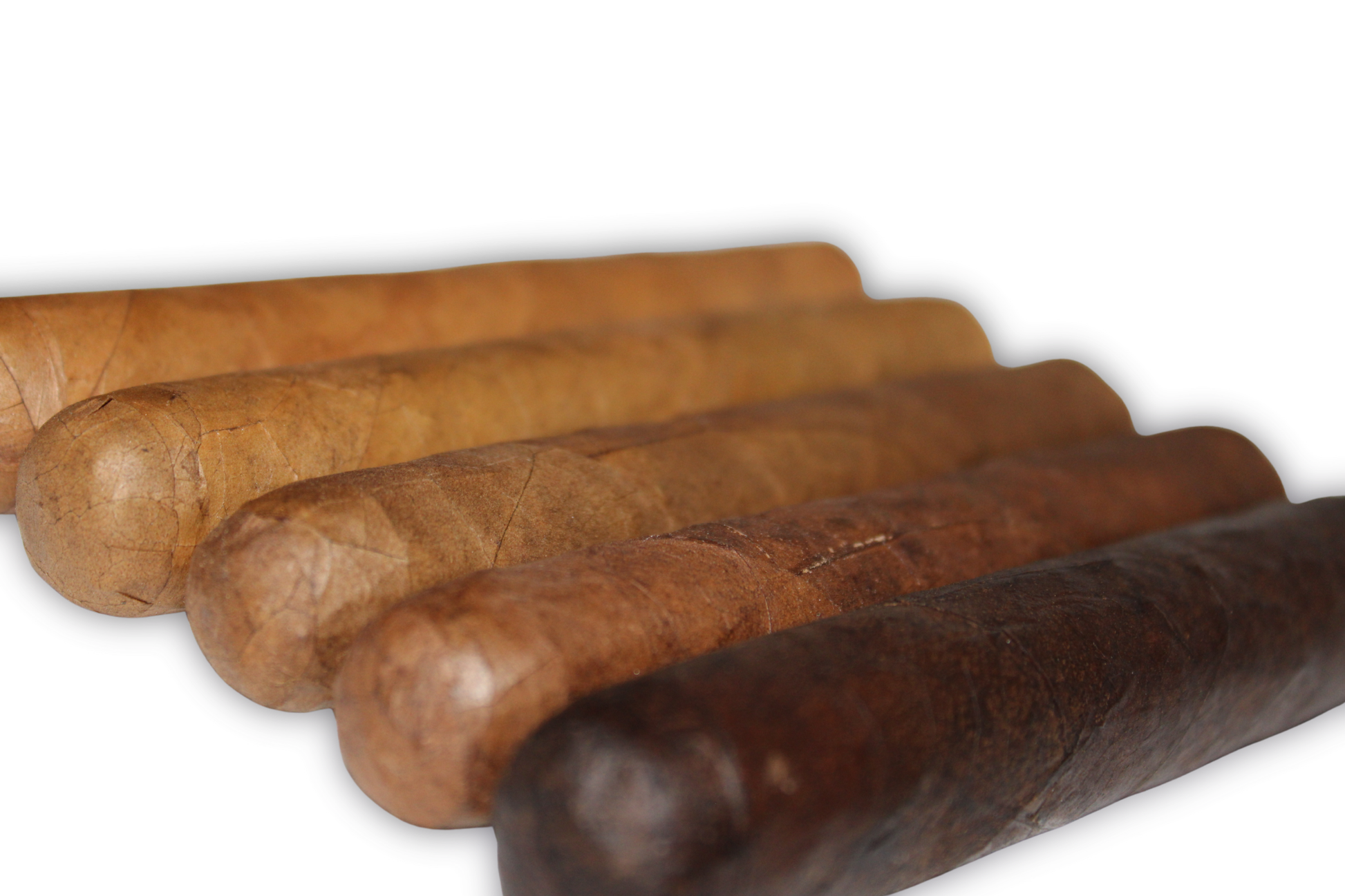 Robusto Variety 5-Pack – 5x50