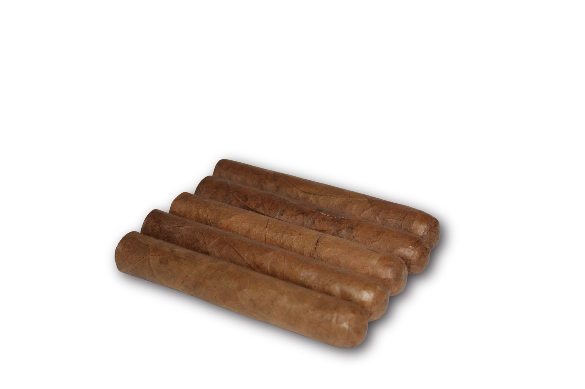 Robusto Habano 5-Pack – 5x50