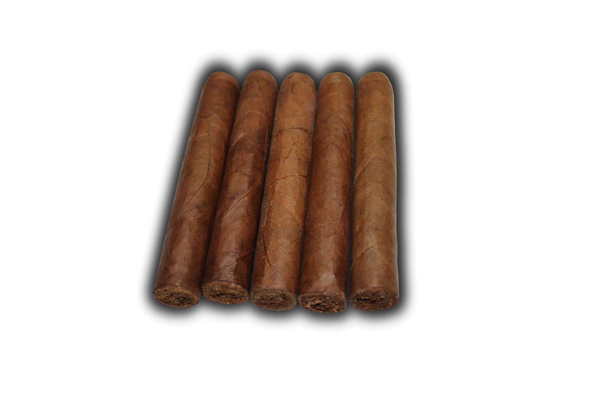 Robusto Habano 5-Pack – 5x50