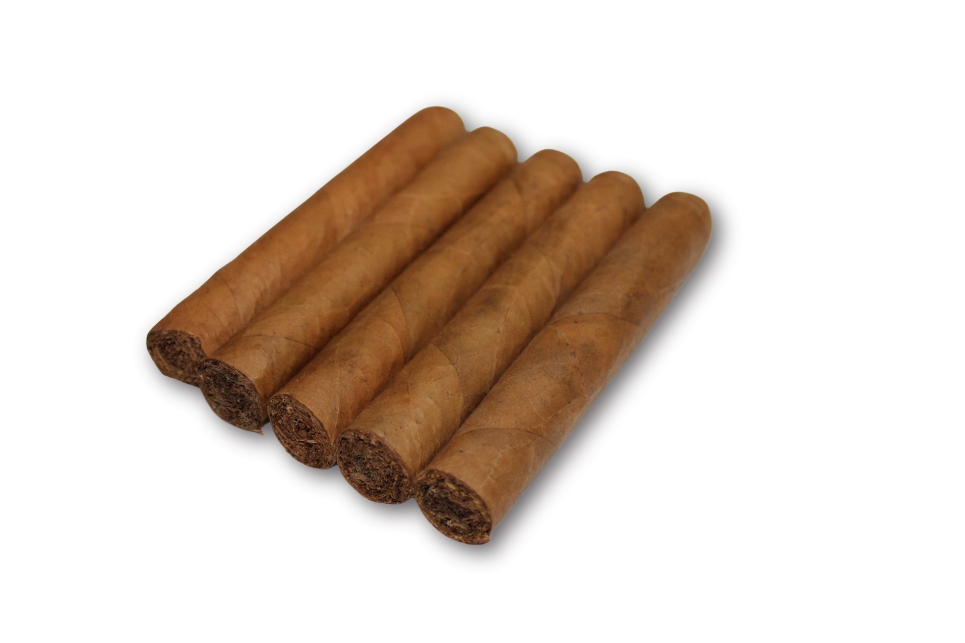 Robusto Connecticut 5-Pack – 5x50