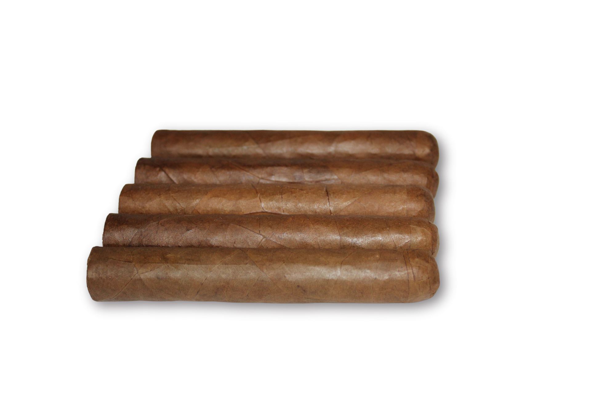 Robusto Habano 5-Pack – 5x50