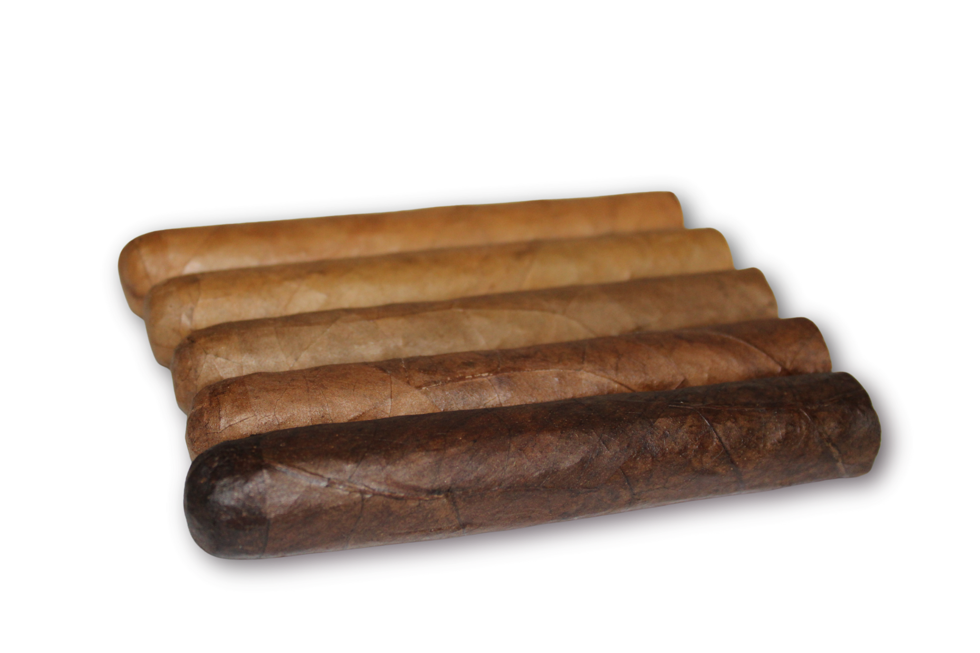 Robusto Variety 5-Pack – 5x50