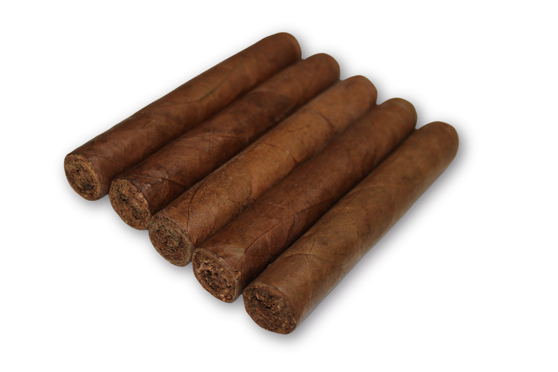 Robusto Habano 5-Pack – 5x50