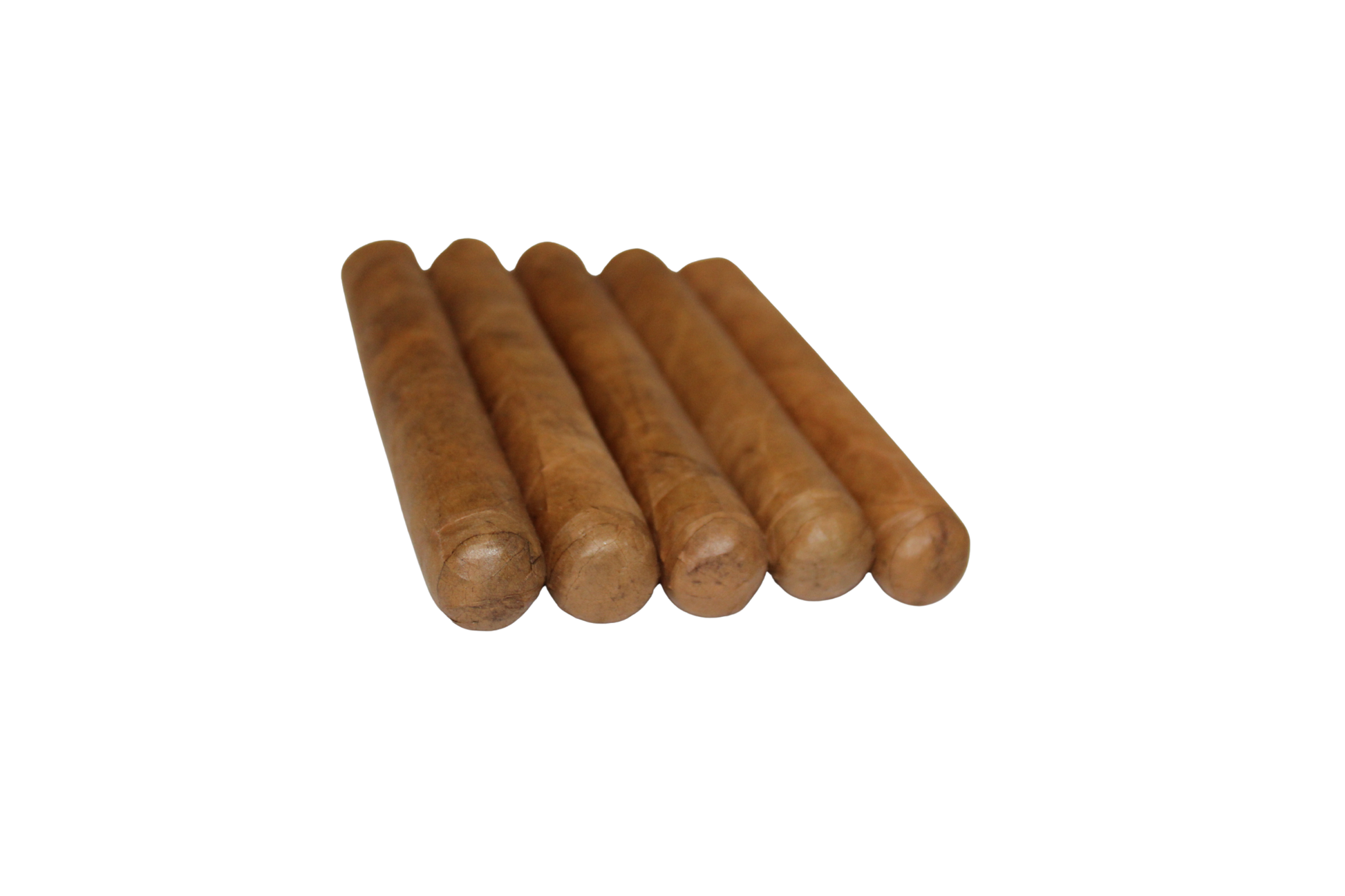 Robusto Connecticut 5-Pack – 5x50