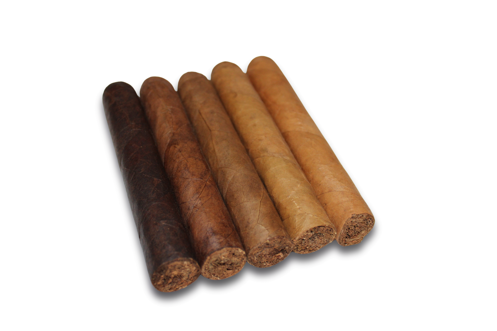 Robusto Variety 5-Pack – 5x50