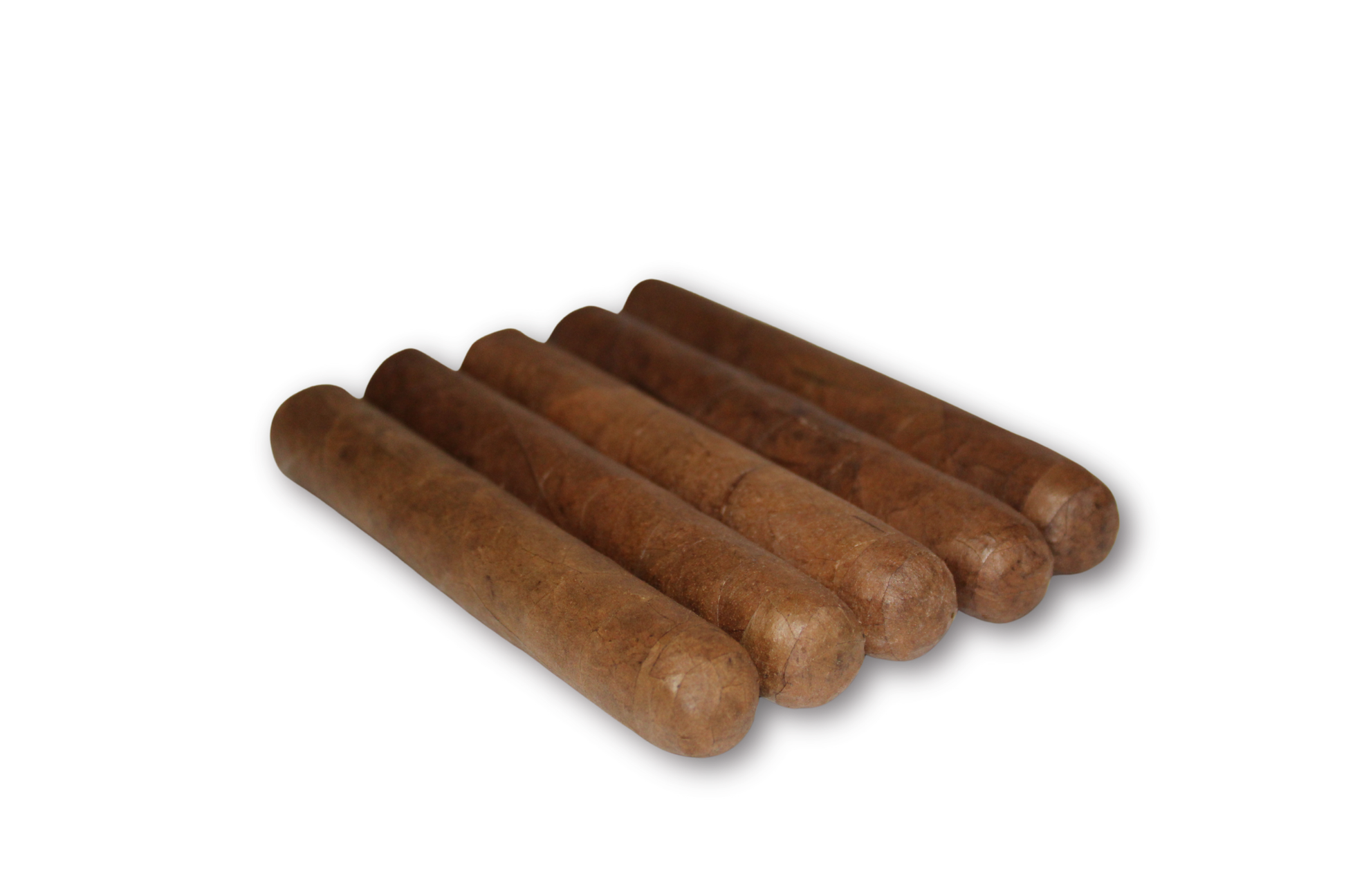 Robusto Habano 5-Pack – 5x50
