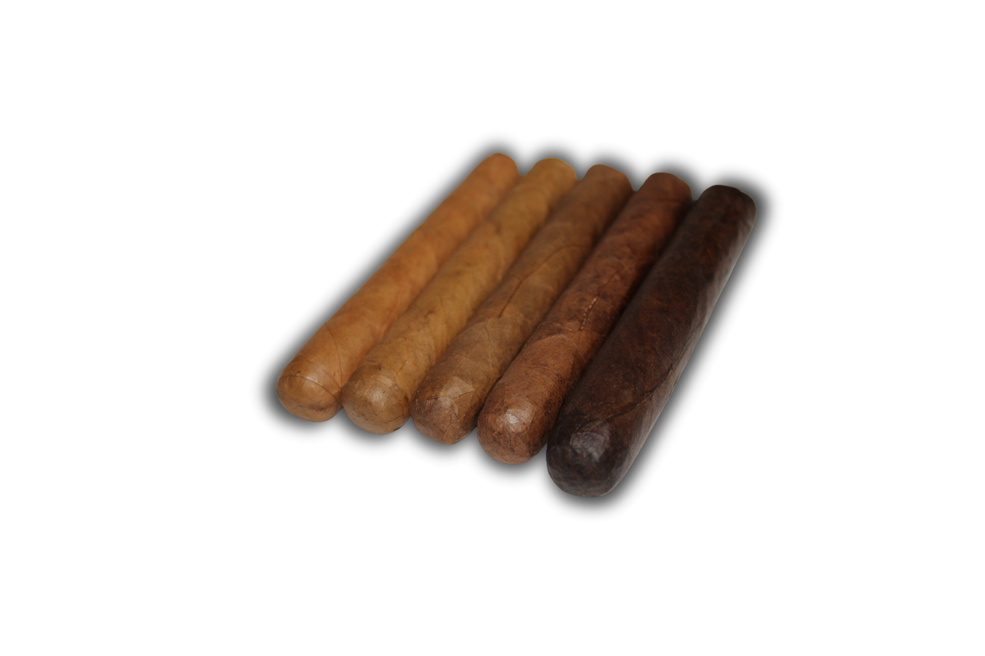 Robusto Variety 5-Pack – 5x50