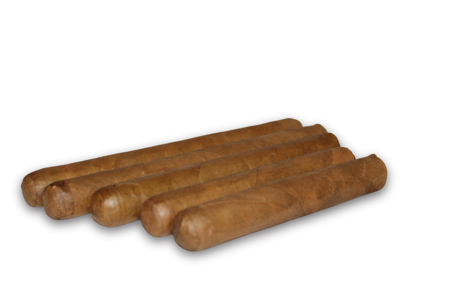Robusto Variety 5-Pack – 5x50