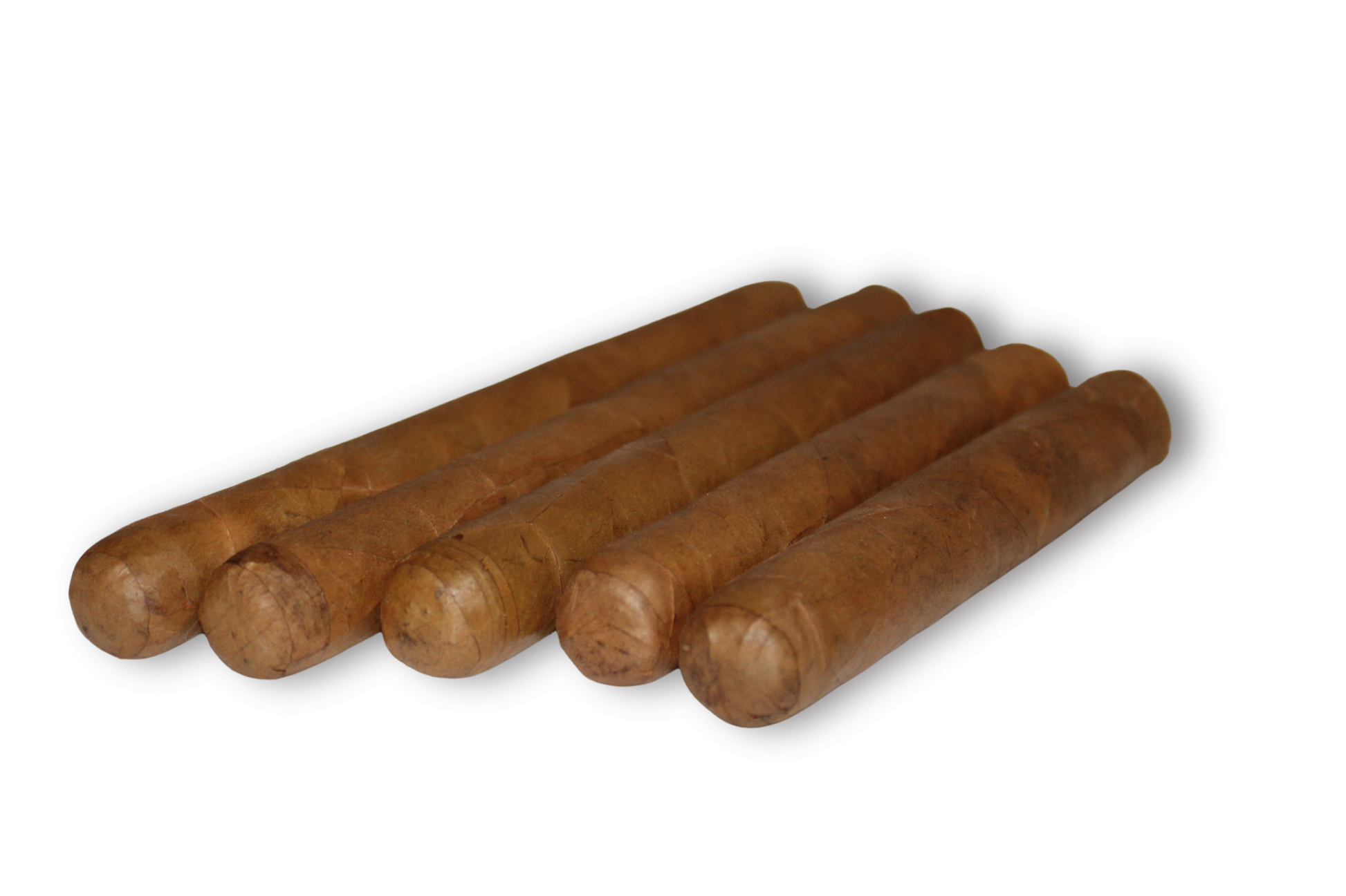 Robusto Variety 5-Pack – 5x50