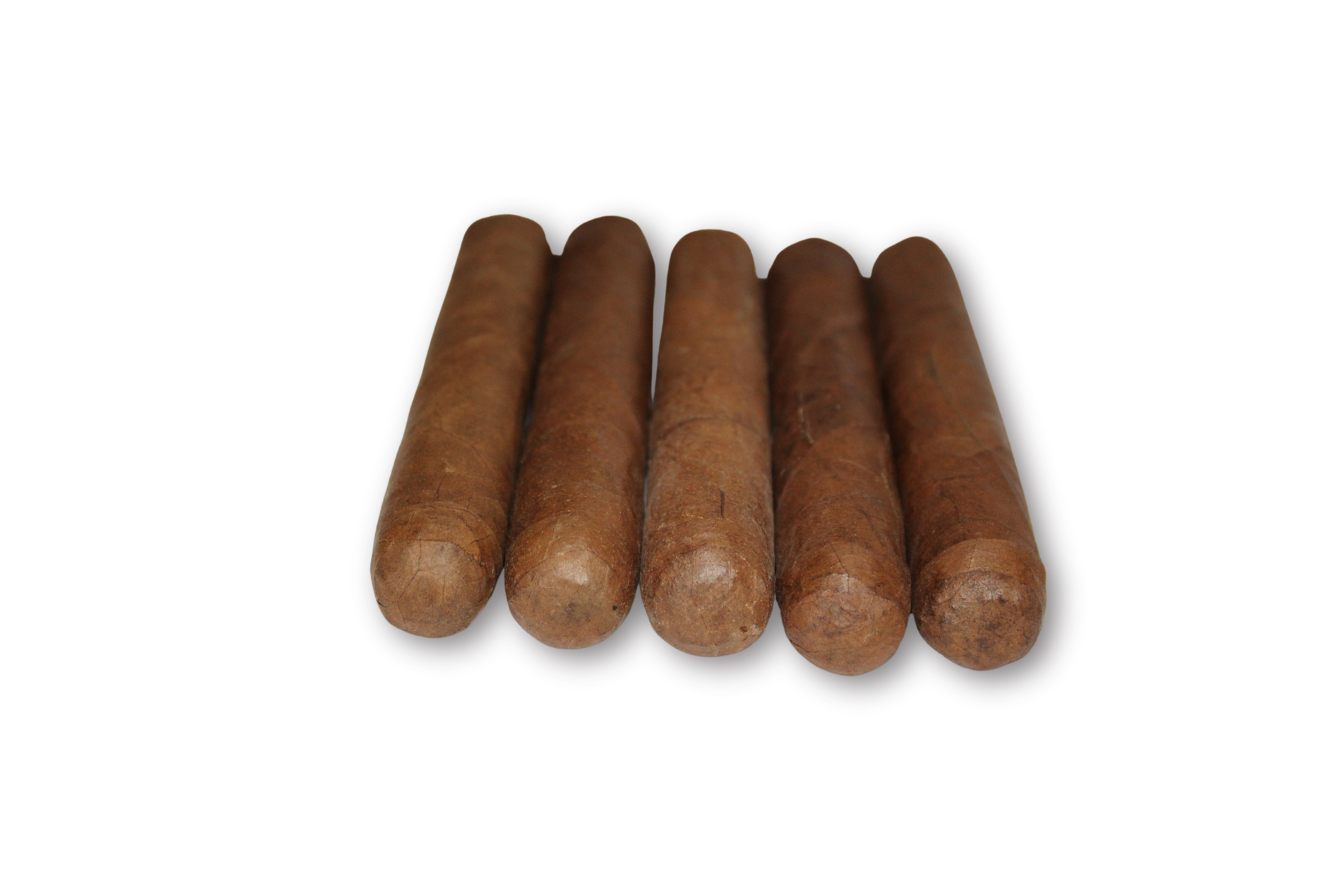 Robusto Connecticut 5-Pack – 5x50
