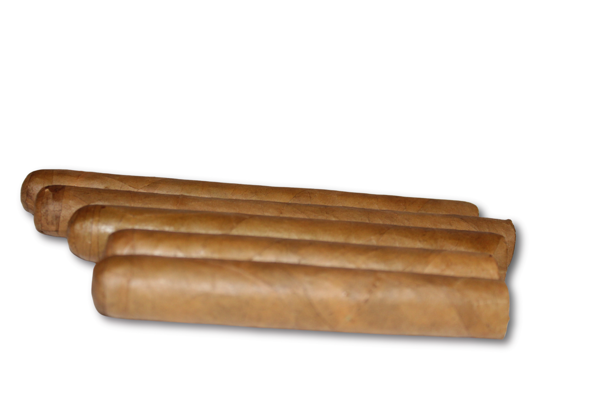 Robusto Variety 5-Pack – 5x50