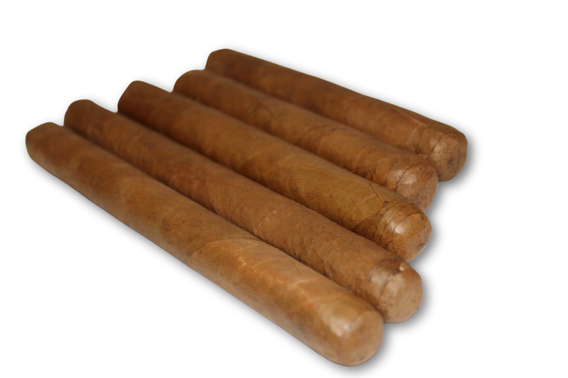 Robusto Variety 5-Pack – 5x50